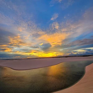 Andorinhas e Gaivotas